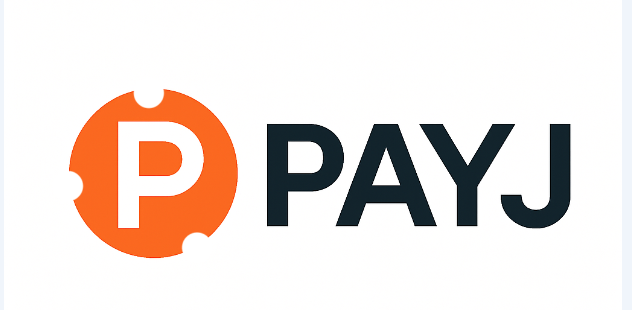 PAYJ finance web application concept screenshot